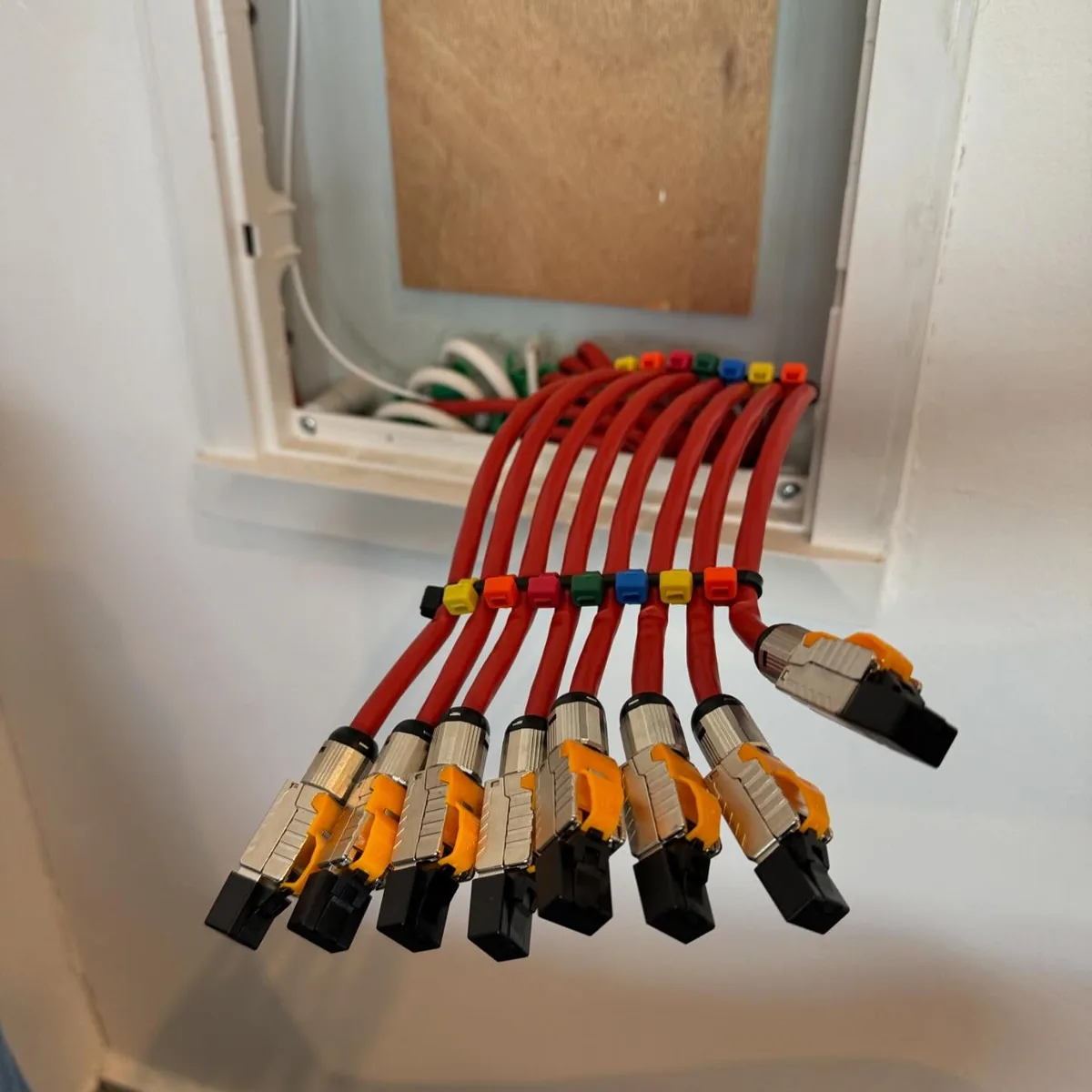 צרור כבלי רשת אדומים עם מחברי RJ45 מסוככים וסמני זיהוי צבעוניים, מוכנים לחיבור נקודות רשת